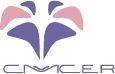 client logo name